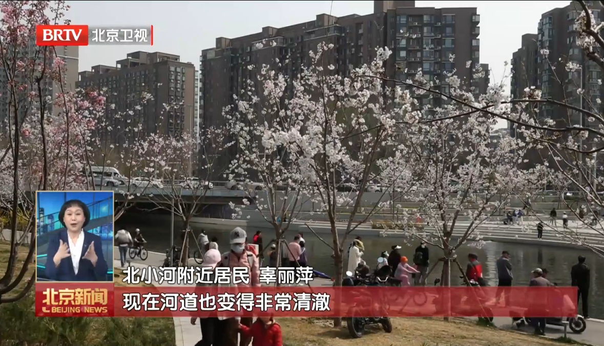 北京优化营商环境一线观察】赋能“超级个体” 北京“一人公司”创业生态持续升级-3月31日.jpg
